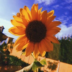 Meet your Posher, Candice